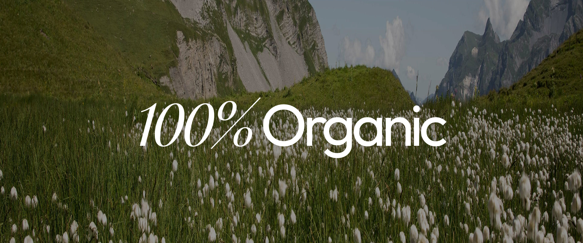 Why Choose 100% Organic Cotton Clothing?